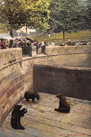 Premium Zwitserland Bern Bärengraben Zoo Dierentuin Schweiz Suisse Switzerland HC49041