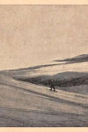 Tani Finland Lappi Suomi Europa HC48711