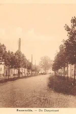 België Bassevelde De Dorpstraat Assenede Oost-Vlaanderen HC48190 Ekspresowa dostawa