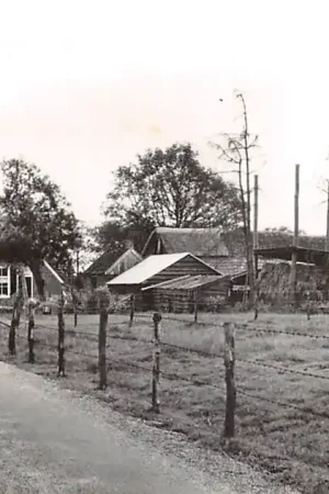 Ruinen Engeland Boerderij met koeien De Wolden Drenthe HC47770 Popularny