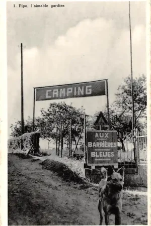 België Jevoumont -Theux Camping Aux Barrieres Bleues 1. Pipo l'aimable gardien EuropaHC46181 Popularny