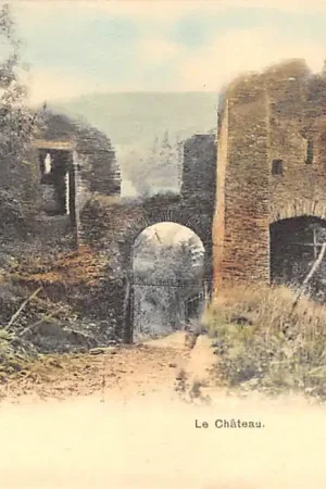 Tani België Laroche Le Chateau Kasteel 1900 Europa HC46121