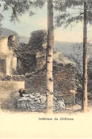 Promocja België Laroche Interieur du Chateau Kasteel 1900 Europa HC46119