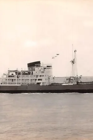 Ekspresowa dostawa Engeland m.s. Rotherwick Castle Union Castle Mail S.S. Co. Ltd. Schepen Scheepvaart England Europa HC45195