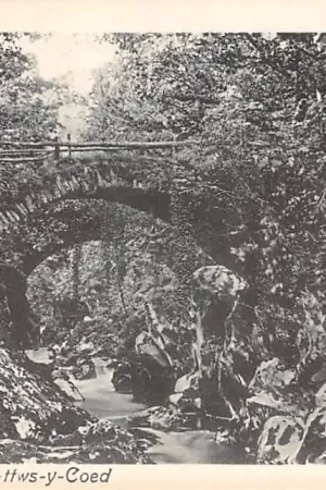 Engeland Wales Bettws-y-Coed Roman Bridge England Europa HC44938 Oferta