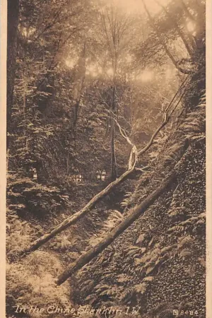 Engeland Shanklin in Wight In the Chine England Europa HC44512 Kup teraz