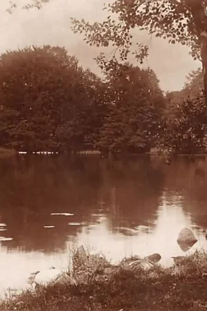 Duitsland Holst Ukleisee Holsteinische Schweiz Fotokaart Deutschland Europa HC43501 Wyprzedaż