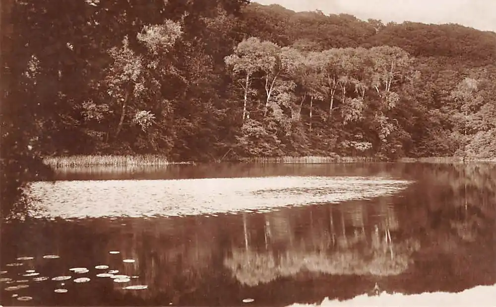 Duitsland Holst Ukleisee Holsteinische Schweiz Fotokaart Deutschland Europa HC43499 Autentyczny