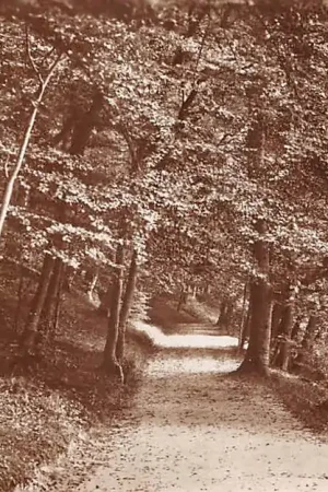 Darmowa dostawa Duitsland Holst Ukleisee Holsteinische Schweiz Fotokaart Deutschland Europa HC43498