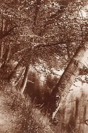 Zwrot pieniędzy Duitsland Holst Ukleisee Holsteinische Schweiz Fotokaart Deutschland Europa HC43496