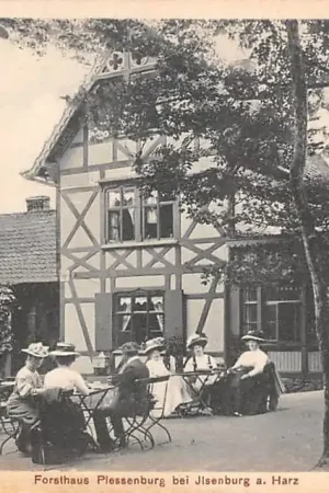 Premium Duitsland Forsthaus Plessenburg bei Jisenburg a. Harz 1912 Deutschland Europa HC44004