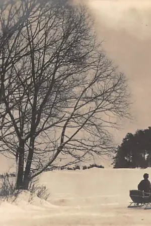 Rusland Moskou MOCKBA Moscou Environs Paard en slee in de sneeuw Winter 1911 Russia Europa HC43250 Oferta