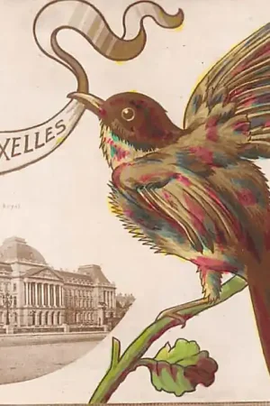 België Brussel Souvenir de Bruxelles met vogel Le Palais Royal Europa HC42558 Wyprzedaż