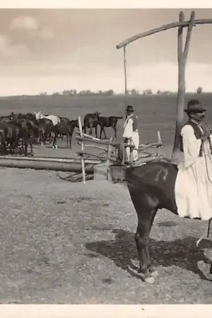 Oryginalny Hongarije Kecskemet-Bugac Csikos Paarden jongen Klederdracht 1936 Magyarország Hungary Europa HC42400