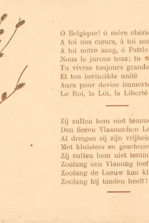 België WO1 1914-1918 Gedicht Frans en Nederlands Europa HC42143 Promocja