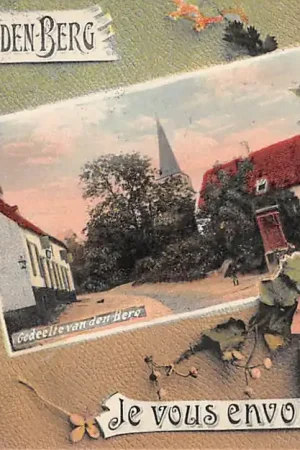 België Heist-op-den-Berg Je vous envoie ces fleurs d'Heyst-op-den-Berg 1907 Gedeelte van den Berg Europa HC41546 Ostatnia szansa