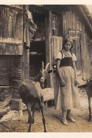 Szybka dostawa Zwitserland Meisje in klederdracht bij boerderij en geiten Schweiz Suisse Switzerland Europa Vintage HC40942