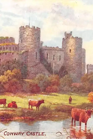 Tylko dziś Wales Llandudno Conway Castle met koeien Kasteel England Engeland UK Europa HC40739