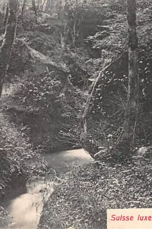 Luxemburg Suisse Luxembourgeoise Hallerbach Luxembourg Europa HC40621 Tylko dziś