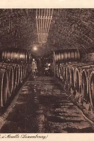 Zwrot pieniędzy Luxemburg Luxembourg Caves St. Martin S.A. Remich s\\/Moselle Cave des Vins de Reserve Europa HC40590