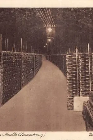 Luxemburg Luxembourg Caves St. Martin S.A. Remich s\\/Moselle Une vue des reserves en bouteilles Europa HC40589 Oryginalny