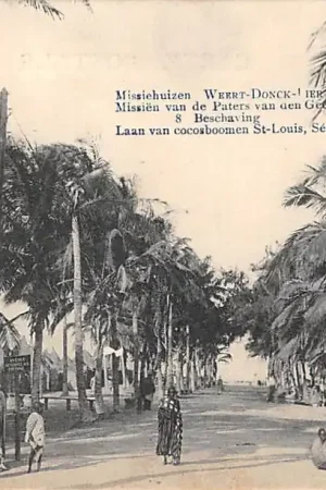 Senegal 8 Beschaving Laan van cocosboomen St. Louis Missiehuizen Weert \\u2013 Donck \\u2013 Lier van de Paters van den H Geest België Afrika HC39695 Niska cena