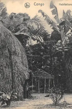 Oryginalny Congo Belge Habitations sur le Haut-Congo België Afrika HC39620
