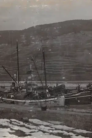 Najlepsza cena Duitsland Hamborn Binnenvaart schepen Fotokaart Gelria Rederij van Ommeren en Thijssen TH No 38 De Groot en van Vliet Slikkerveer op de Rijn in Deutschland 1916 Scheepvaart Europa HC39288