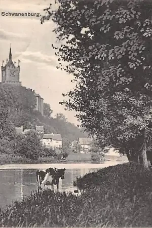 Ostatnia szansa Duitsland Kleve Bad Cleve Kermisdahl Schwanenburg 1913 Koeien Deutschland Europa HC37751