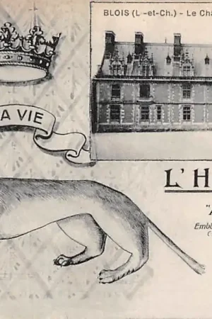 Rabat Frankrijk Blois Le Chateau alle Louis XII L'Hermine Devise: A ma vie Embleme d'Anne de Bretagne France Europa HC37716