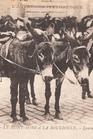 Darmowa dostawa Frankrijk Le Mont-Dore et La Bourboule Loueuse d'Anes 1927 L'Auvergne Ezels France Europa HC37705