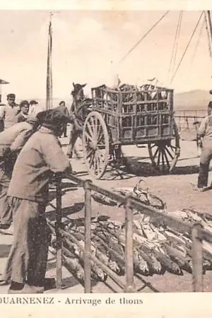 Frankrijk Douarnenez Arrivage de thons Vissers France Europa HC37391 Zamów teraz