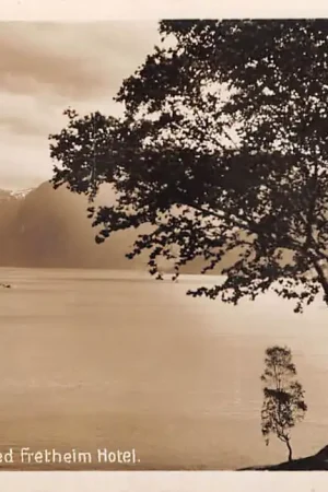 Noorwegen Flaam Parti ved Fretheim Hotel Norge Norway Europa HC35056 Bezpieczna płatność