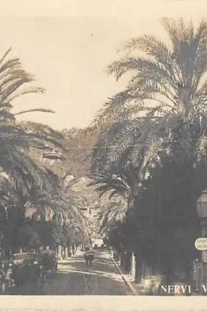 Italië Nervi Viale delle Palme Fotokaart Italia Europa HC34994 Autentyczny