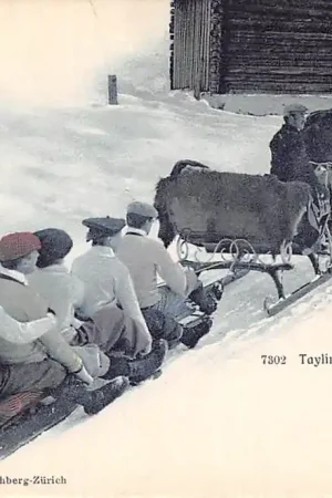 Premium Zwitserland Tayling-Partie Bobslee achter paardenslee Bobsleigh Winter Sport Schweiz Suisse Switzerland Europa HC34922