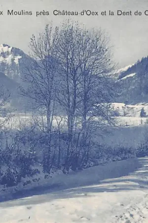 Zwitserland Paysage d'hiver aux Moulins pres Chateau d'Oex et la Dent de Corjon Winter Schweiz Suisse Switzerland Europa HC34917 Oferta limitowana