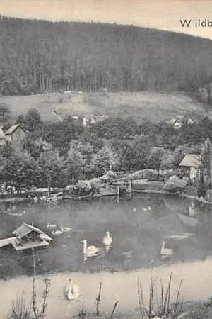 Zamów teraz Duitsland Wildbad Schwanensee Calw Schwarzwald Deutschland Europa HC34829