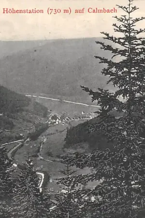 Zamów teraz Duitsland Wildbad Blick von der Hohenstation (730 m) auf Calmbach Calw Schwarzwald Deutschland Europa HC34828