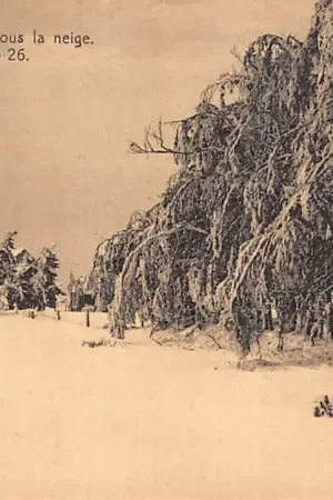 België Jalhay Malmedy Waimes La Baraque Michel sur la neige Hiver Winter 1925-1926 Europa HC34370 Najlepsza cena