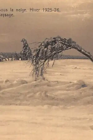 Zwrot pieniędzy België Jalhay Malmedy Waimes La Baraque Michel sur la neige Hiver Winter 1925-1926 Paysage Europa HC34364
