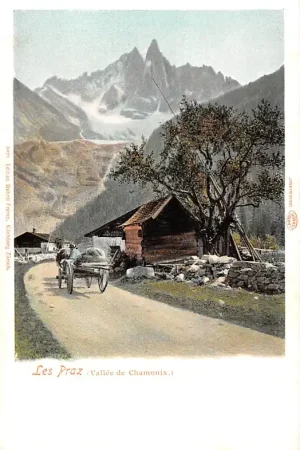 Zwitserland Les Praz Vallee de Chamonix Schweiz Suisse Switzerland Europa HC34297 Zamów teraz