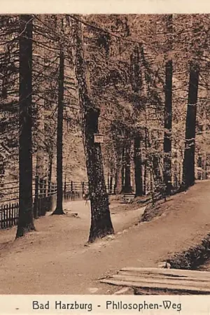 Ostatnia szansa Duitsland Bad Harzburg Philisophen-Weg Goslar Deutschland Europa HC33025