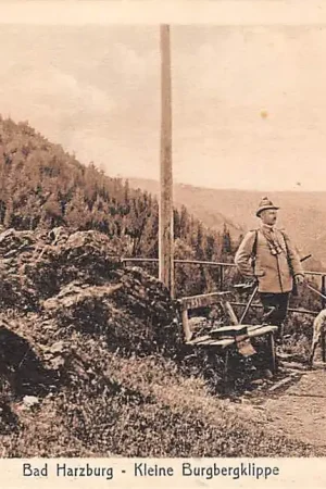 Duitsland Bad Harzburg Kleine Burgbergklippe Goslar Deutschland Europa HC33022 Tylko dziś