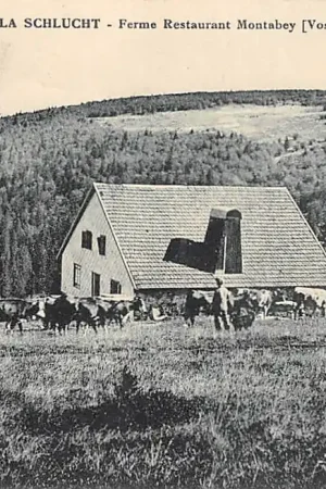 Frankrijk Col de la Schlucht Ferme Restaurant Montabey Vosges Boerderij Koeien France Europa HC33017 Oferta limitowana