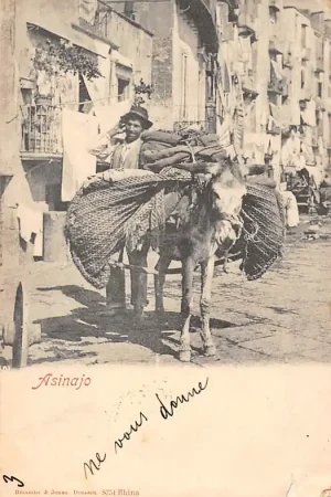 Bezpieczna płatność Italië Asinajo 1901 Ezel met vracht Italia Europa HC32781