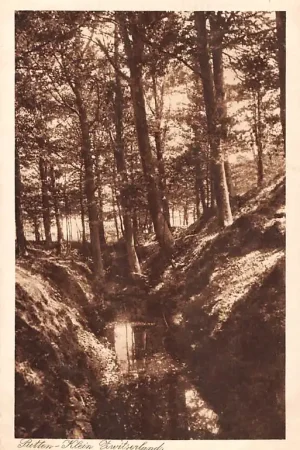 Oferta Putten op de Veluwe Klein ZwitserlandHC32324