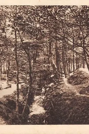 Putten Veluwe Klein Zwitserland 1930 HC32168 Szybka dostawa