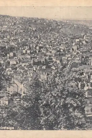 Duitsland Stuttgart Blick v.d. Alten Weinsteige Deutschland Europa HC31941 Szybka dostawa