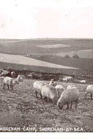 Ekspresowa dostawa Engeland Southdowns naer Shoreham Camp Shoreham-by-sea 1914 England Europa HC31921