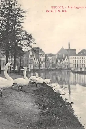 Nowość België Brugge Bruges Les Cygnes du Quai Long Europa HC31619